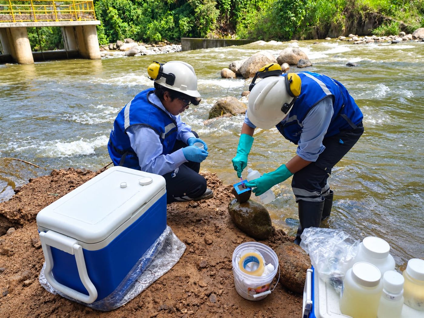Colecta de perifiton raspando la superficie de una roca en un río